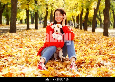 Attraktive junge Frau mit langen brünetten Haaren, trägt übergroße rote Pullover & Mama Jeans zu Fuß im Park ihr Jack Russell Terrier Welpen, gelbe verlassen Stockfoto