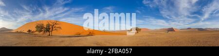 Dünen 45 der Namib Wüste bei Sossusvlei in der Morgenzeit, Hintergrund blauer Himmel mit schönen Wolken, Namib Naukluft Rand, Namibia. Stockfoto