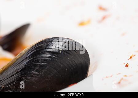 Nahaufnahme von Herzmuschel in Tomatensuppe mit Meeresfrüchten. Makro. Foto kann als ganzer Hintergrund verwendet werden. Stockfoto