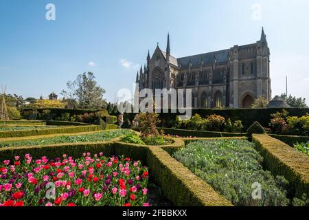 Arundel Castle Tulpenfest im April 2021, West Sussex, England, Großbritannien mit der römisch-katholischen Kathedrale Stockfoto