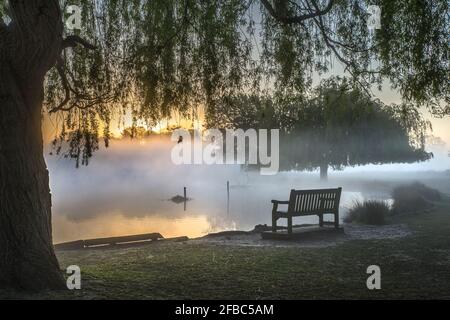 Der wunderschöne, schwebende Nebel wird vom Sonnenaufgang am frühen Morgen über dem Heron-Teich im Buschy Park Surrey beleuchtet. Wenn ich auf öffentlichem oder privatem Grundstück bin, bin ich darauf vorbereitet Stockfoto