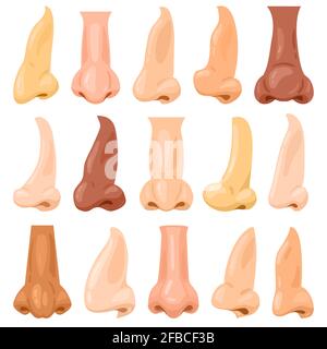 Cartoon menschliche Nasen. Menschliches Gesicht Anatomie Atemorgan, Mann oder Frau Gesicht Teil Vektor Illustration Set. Verschiedene menschliche Nasen Stock Vektor