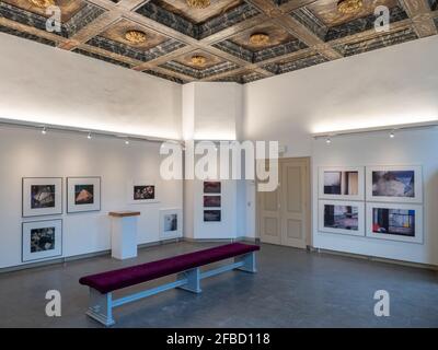 Ausstellungsraum mit einer historischen Kassettendecke aus dem 17. Jahrhundert Die Ars aemula Naturae in Leiden Stockfoto