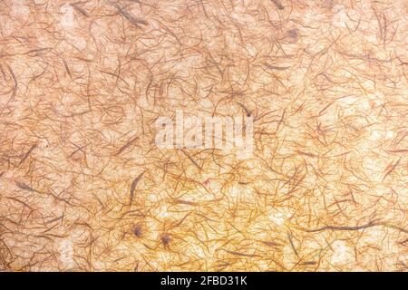 Papier Textur (transluzent) von Hand mit sichtbaren organischen Fasern. In zarten Farben, Orange und Vanille. Stockfoto