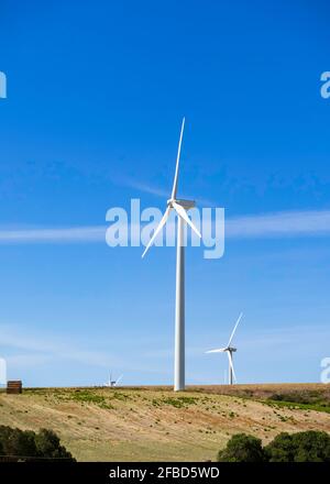 Windturbine zur Erzeugung elektrischer Energie, auf einem Gebiet in Andalusien. Stockfoto