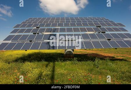 Installation von Photovoltaik-Sonnenkollektoren für die Stromerzeugung in einem Grünes Feld mit blauem Himmel Stockfoto