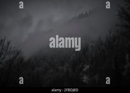 Nebel schwebt in der Dämmerung über dem Winterwald Stockfoto