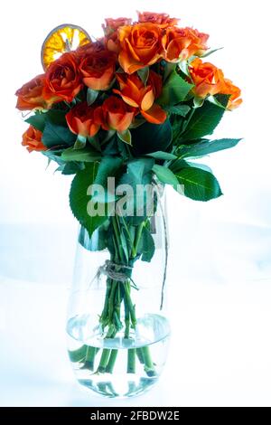 Orangenblüten in Vase mit getrockneten Orangenscheiben Stockfoto