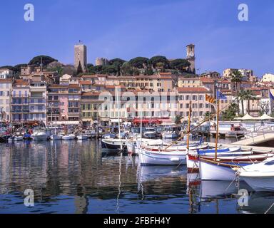 Traditionelle Fischerboote im alten Hafen, Cannes, Côte d ' Azur, Alpes-Maritimes, Provence-Alpes-Côte d ' Azur, Frankreich Stockfoto