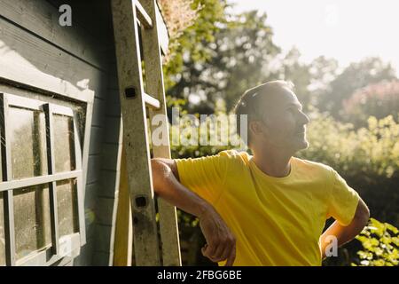 Mann schaut weg, während er sich auf einer Leiter im Hinterhof lehnt An sonnigen Tagen Stockfoto