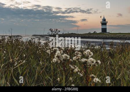 Deutschland, Niedersachsen, Wurster Nordseekuste, Küstenwiese bei Dämmerung mit kleinem Preusse Leuchtturm im Hintergrund Stockfoto