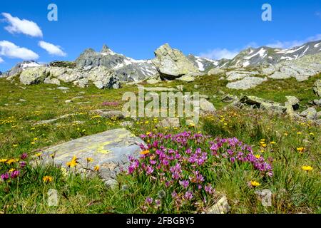 Italien, Aostatal, Pain du Sucre beim Großen Heiligen Bernhard Stockfoto