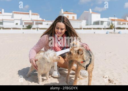 Lächelnde Frau, die mit Hunden auf Sand am Strand sitzt Sonniger Tag Stockfoto