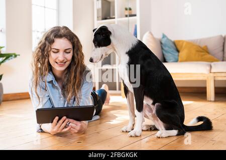 Lächelnde Frau, die auf ein digitales Tablet schaut, während sie auf Hartholz liegt Boden von Jack Russell Terrier im Wohnzimmer Stockfoto