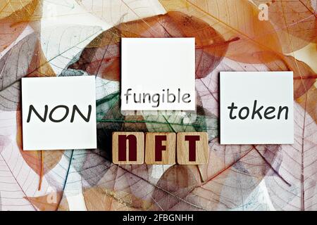 Foto zum thema nft (non-fungible Token). Holzwürfel mit dem Akronym nft und Haftnotizen auf dem Hintergrund des Skelett-Magnolienblattes Stockfoto