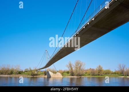 Die Hängebrücke Herrengrugsteg über die Elbe am elberadroute bei Magdeburg in Deutschland Stockfoto