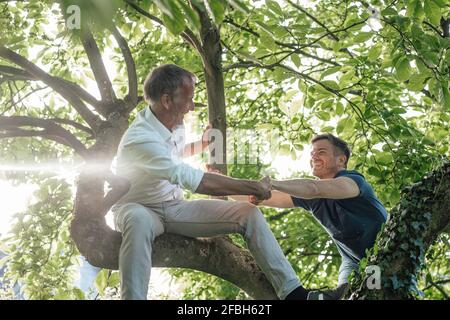 Vater unterstützt Sohn, an sonnigen Tagen auf den Baum zu klettern Stockfoto