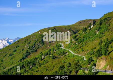 Blick über die Zillertaler Bergstraße, Tuxer Alpen, Zillertal, Tirol, Österreich Stockfoto