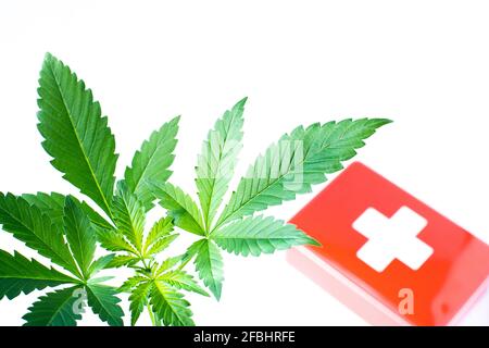 Cannabispflanze und erste-Hilfe-Kasten Stockfoto