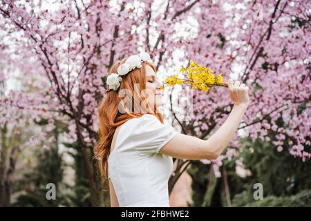 Schöne Frau riecht gelbe Blume, während sie vor Mandelbaum im Park Stockfoto