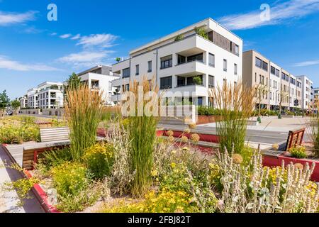 Passivhaus-Entwicklungsgebiet, Bahnstadt, Heidelberg, Deutschland Stockfoto