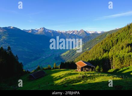 Blick über das Zillertal mit Almhütten, Tirol, Österreich Stockfoto