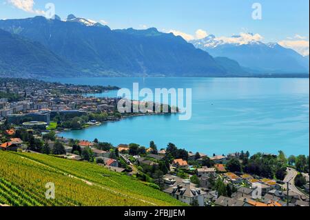 Sonniger Tag am Genfer See, Schweiz Stockfoto