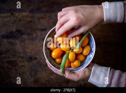 Die Hände der Frau halten eine Schüssel mit Kumquats Stockfoto