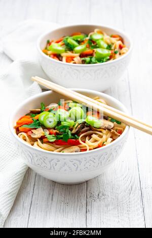 Asiatische Nudelsuppe mit Reisnudeln, Paprika, Pilzen, Frühlingszwiebeln, Koriander und Karotten Stockfoto