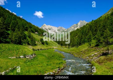 Italien, Aostatal, Saint-Rhemy-en-Bosses, Bach im Valle del Gran San Bernardo Stockfoto