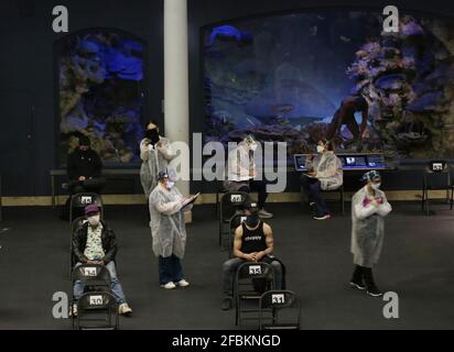 New York, Usa. April 2021. Gesundheitshelfer kümmern sich um Menschen, die nach dem berühmten 94 Meter langen Modell eines Blauwals geimpft werden, wenn das American Museum of Natural History am Freitag, den 23. April 2021, im AMNH in New York City in eine Massenimpfstelle umgewandelt wird. Foto von John Angelillo/UPI Credit: UPI/Alamy Live News Stockfoto