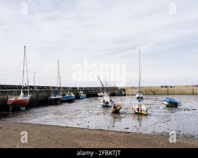 Eine Mischung aus Vergnügungsbooten, Yachten und Hummer-Fischerbooten bei Ebbe im Hafen von Fisherrow in der Nähe von Edinburgh. Stockfoto