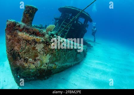 Eine Taucherin auf dem Wrack eines kleinen Schleppers Grand Case auf der französischen Insel St. Martin Stockfoto