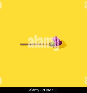 Kreatives Layout mit einem Löffel gefüllt mit bunten Frühlingsblumen auf hellgelbem Hintergrund. Minimales Schönheitskonzept. Stockfoto