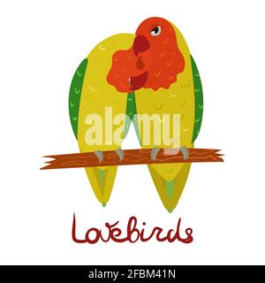 Papagei Lovebird im Cartoon-Stil auf weißem Hintergrund. Vektorgrafik handgezeichnete Illustration. Agapornis-Sittich. Stock Vektor