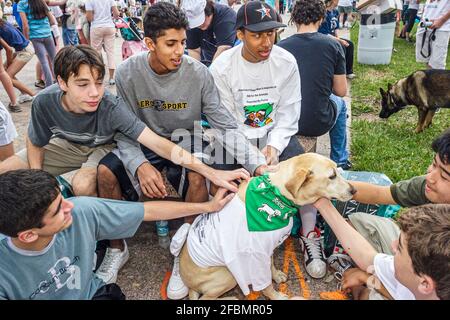 Miami Florida, Bayfront Park Walk for the Animals, Humane Society Fundraising, Teenager Jugendliche Studenten Freiwillige Jungen Hispanic Black Streichelhund Stockfoto