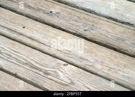 Die Terrasse im Hinterhof sieht alt und verwittert aus und könnte eine gute Schicht Sealer gebrauchen. Es macht eine schöne Textur oder Hintergrund mit einem leichten Boke Stockfoto