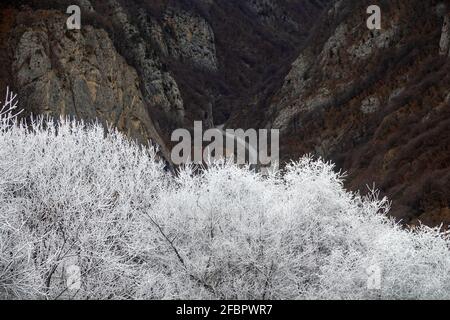 Eine Bergstraße führt durch eine enge Schlucht (Spalte). Eisnebel, Eis von Felsen und Wäldern und hartes Reiten (gefrorener Boden) Stockfoto