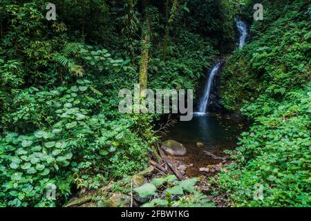 San Luis Wasserfall in einem Nebelwald von Reserva Biologica Bosque Nuboso Monteverde, Costa Rica Stockfoto