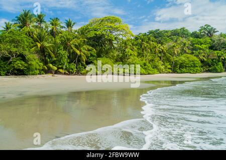 Strand im Nationalpark Manuel Antonio, Costa Rica Stockfoto