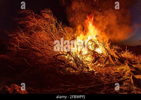 Nachts brannte Gorse. Stockfoto