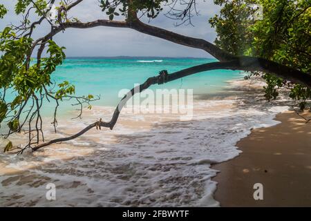 Küste der Insel Isla Zapatilla, Teil des Bocas del Toro Archipels, Panama Stockfoto