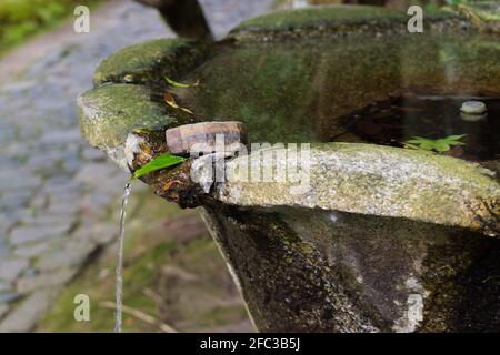 Ein sorgfältig platziertes Blatt dient als Auslauf für ein Wasserspiel im Garten des Honen-in-Tempels im nördlichen Higashiyama-Distrikt von Kyoto, Japan Stockfoto