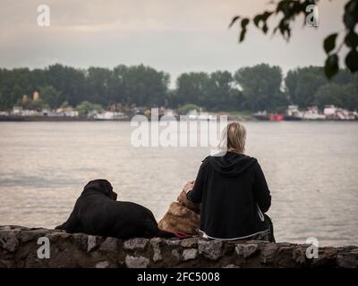 BELGRAD, SERBIEN - 26. JULI 2020: Frau, allein, sitzt draußen mit ihren beiden Hunden, legt sich in Zemun in der Nähe der Donau, während einer Pause in einem Hund Stockfoto