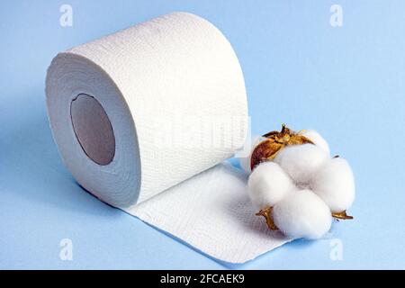 Weiße Toilettenpapierrolle mit trockenen Baumwollblumen auf hellblauem Hintergrund. Stockfoto