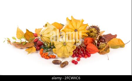 Herbstdekoration mit trockenen Blättern, Kürbissen und mehr, isoliert auf Weiß Stockfoto