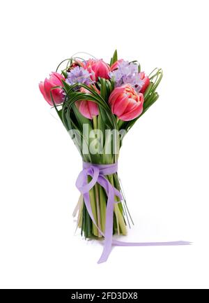 Schöne rote Tulpen mit grünem Gras und Hyazinthe isoliert auf weißem Hintergrund. Stockfoto