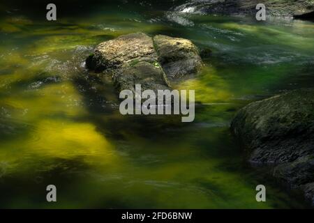 Kleiner Wasserstrom und Felsen in Bambarawana, Licht, das durch das Wasser geht und auf den grünen moosigen Boden trifft und glüht, langgestrecktes Wasser fließt Pho Stockfoto