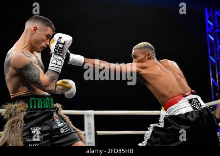 Zagarolo, Italien. April 2021. Michael Magnesi, der sich gegen den Südafrikaner Bulana geschlagen hat, bestätigt sich als IBO Super Featherweight World Champion. Das Spiel beginnt großartig mit dem Eingang von zwei Wölfen, die Michael in Richtung des Rings begleiten. Nach den offiziellen Hymnen beginnt der Kampf, mit Magnesi sehr konzentriert, die sofort angreift und nach einer Reihe von wiederholten Schlägen, erreicht Bulana mit einem rechten Haken und schickt ihn auf die Matte. Der Schiedsrichter beendet die Zählung und erklärt den Kampf. (Foto von Domenico Cippitelli/Pacific Press) Quelle: Pacific Press Media Production Corp./Alamy Live News Stockfoto