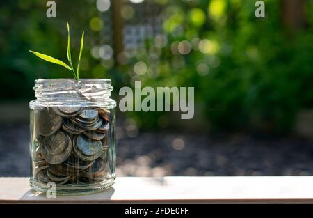 Pflanzen Sie ein Saatgut und beobachten Sie es beim Wachsen - der Sämling wächst aus einem Glas voller Münzen und stellt einen wachsenden Reichtum dar, indem er spart und investiert Stockfoto